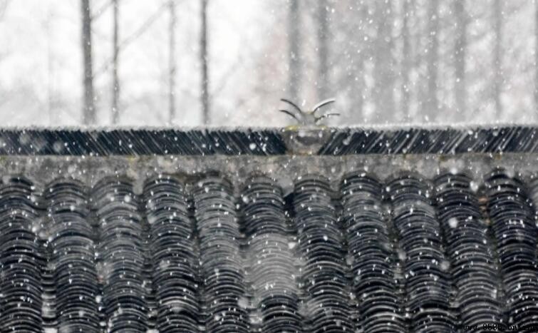 雨夾雪的形成原因與條件