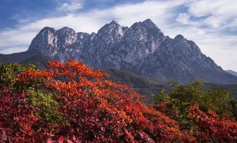 嵩山所在地市詳細解答