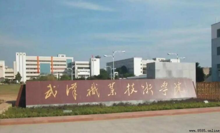 武汉大专学校有哪些