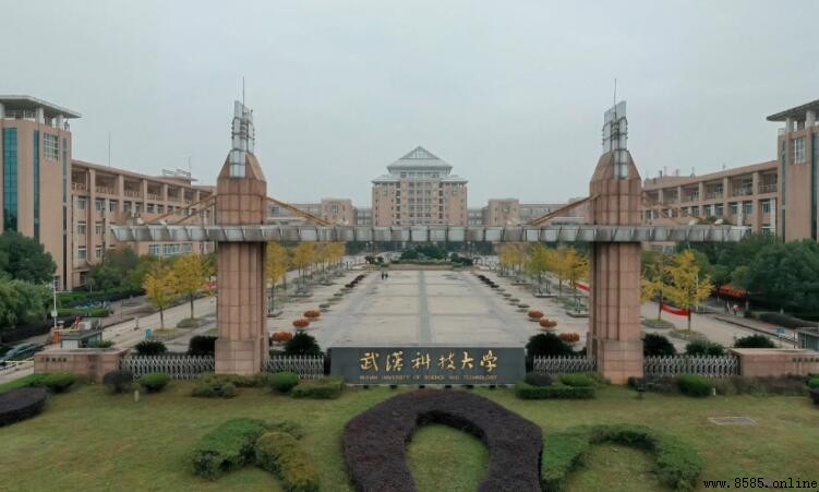 武汉科技大学是一本大学吗