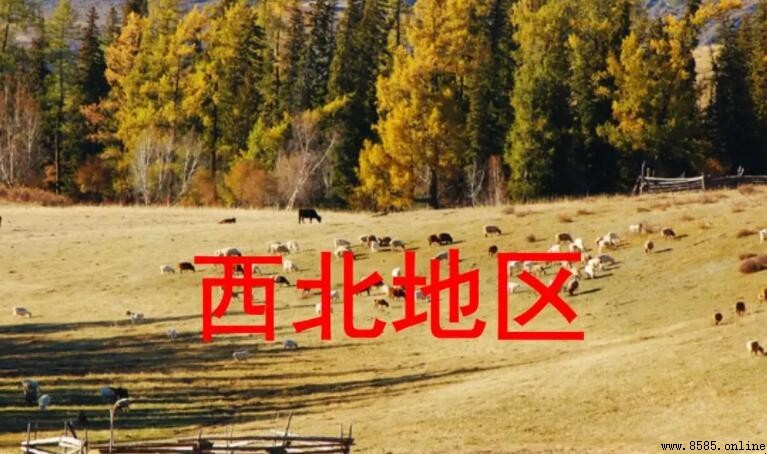 西北地区地理位置特点解析