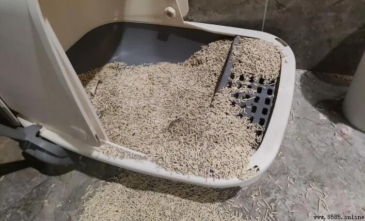 用過的貓砂属于什么垃圾