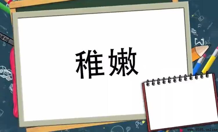稚嫩的近義詞是什麼?6個常用詞彙與用法解析