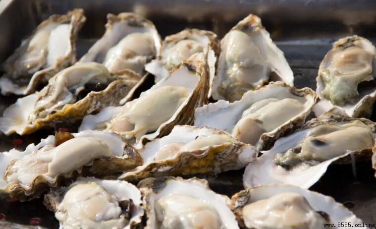 牡蛎裡面黑的能吃嗎？正確處理與食用指南