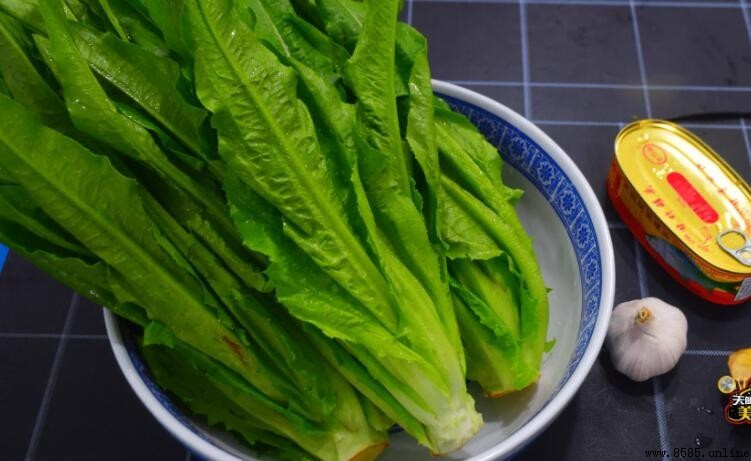 非根莖類蔬菜有哪些?常見品種與特點