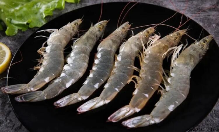 生蝦是否會有寄生蟲?