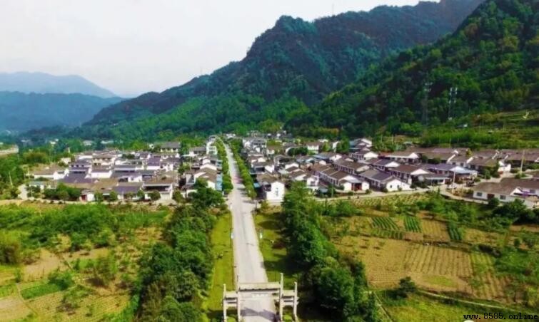 成都金花鎮在哪個区