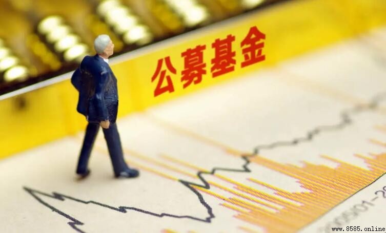 公開基金的特徵解析