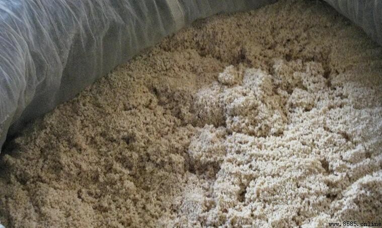 紅薯渣的處理方法與應用