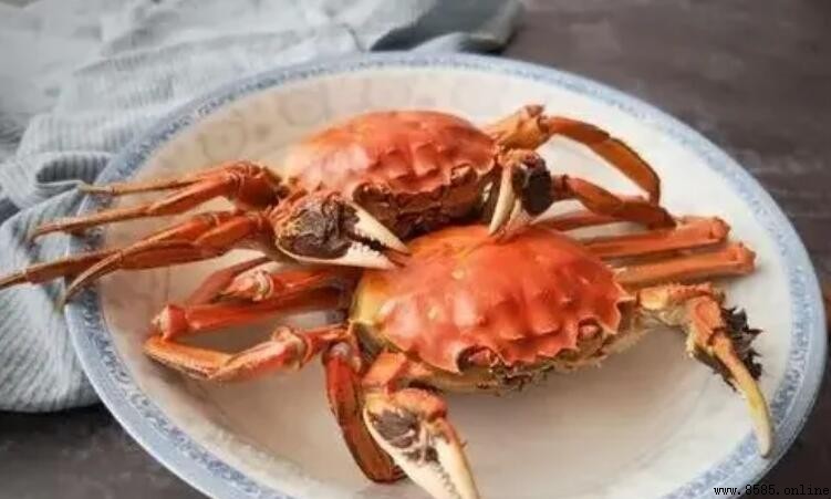 螃蟹放水中一晚會死嗎？解答與注意事項
