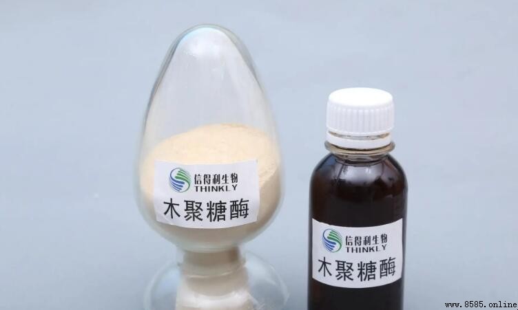 木聚糖酶的主要用途與作用機制