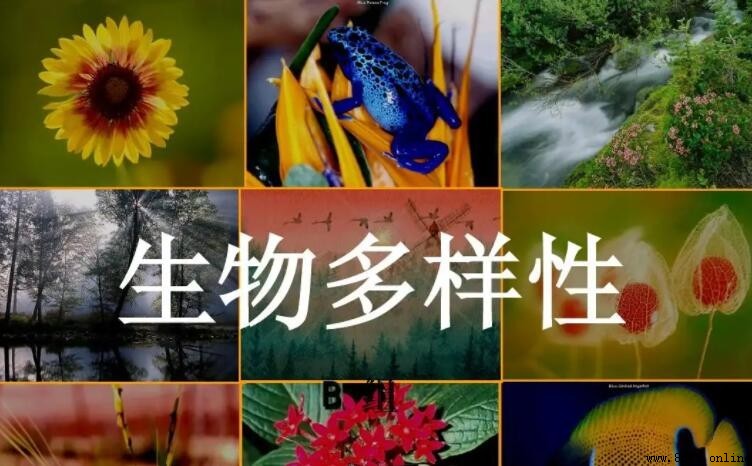 生物多樣性的意義與價值