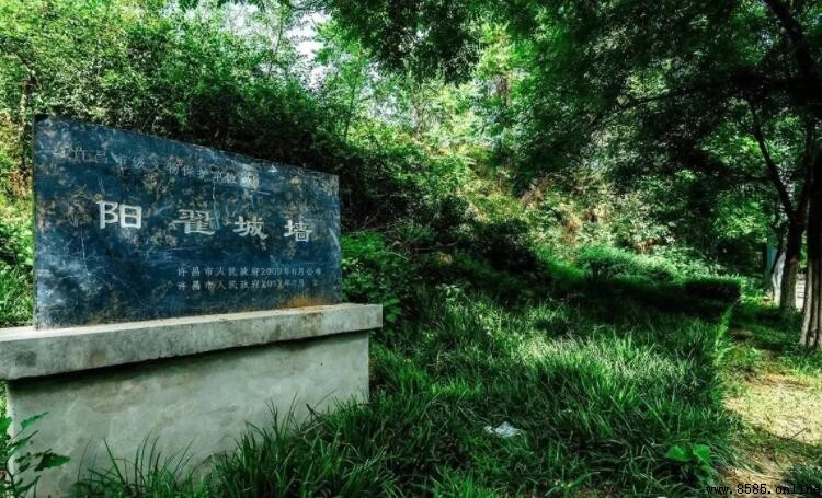 陽翟是現在的哪裡