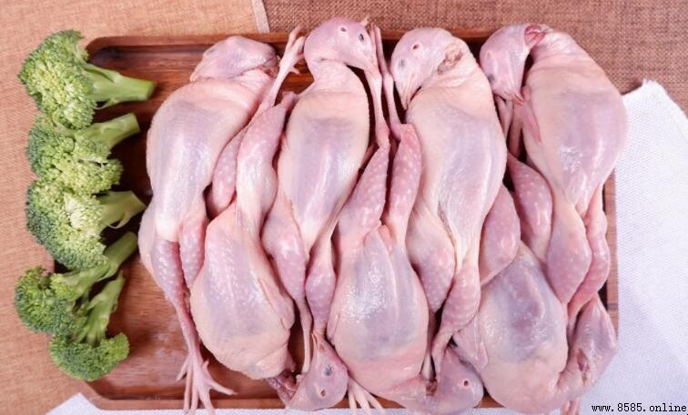 鹌鹑肉屬性解析:熱性還是涼性?