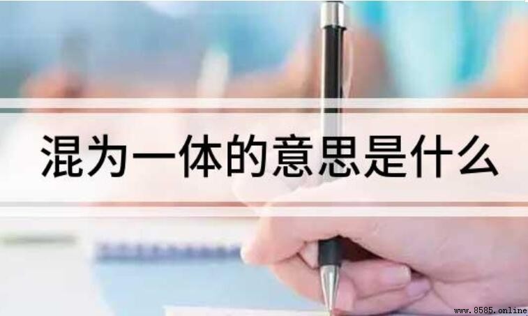 混為一體的意思