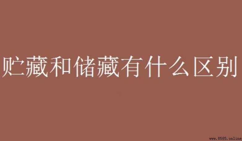 貯藏 vs 儲藏：兩者區別在哪裡？