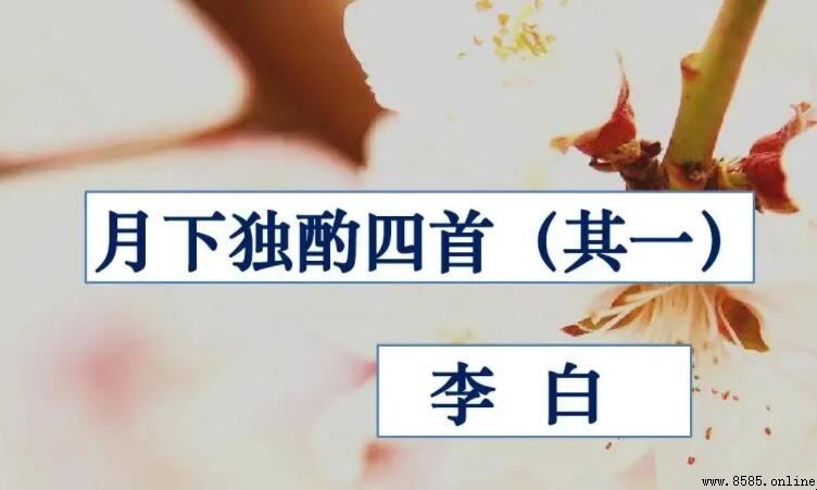 花間一壺酒下一句是什麼