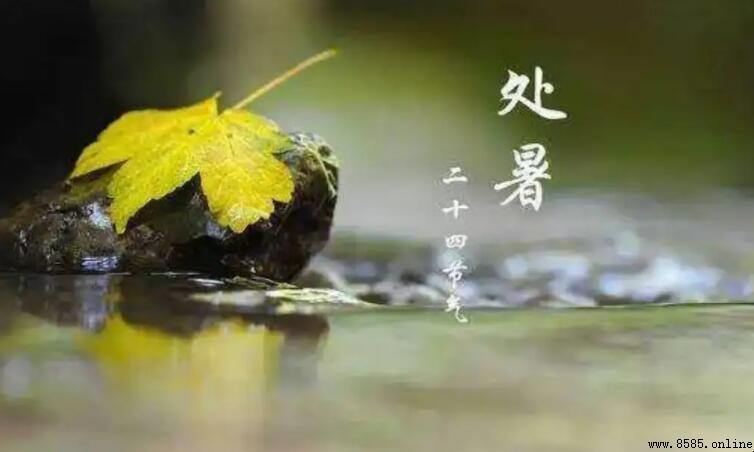 「一度暑出處暑時」是什麼意思？解析左河水《處暑》詩句