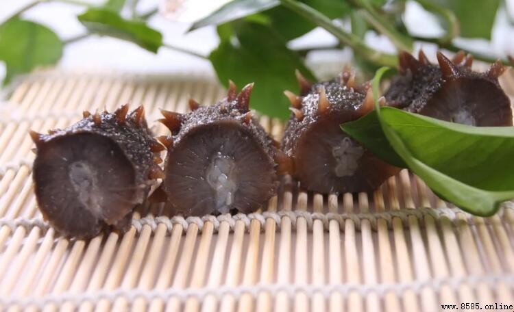 素海參與真海參的差異解析