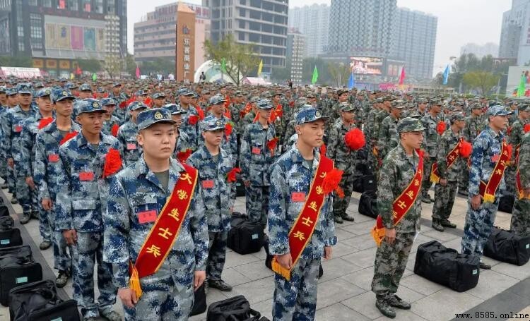 大學生兵與普通兵的差異比較