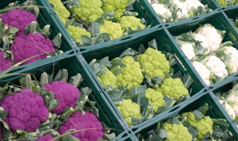 花菜類蔬菜知多少:常見品種及特點