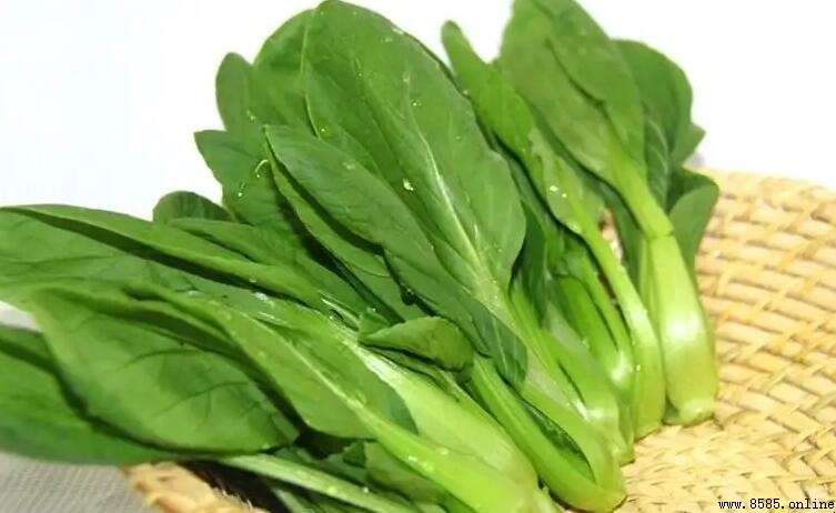 上海青與小青菜的主要區別對比