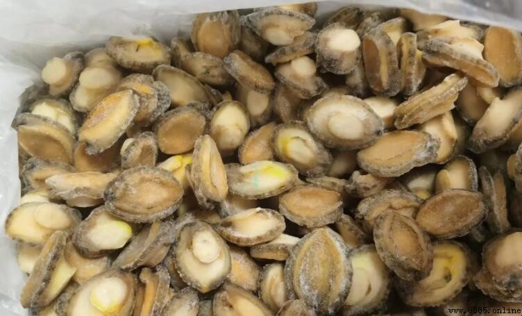 冰凍鮑魚能否蒸著吃？處理與調味技巧解析