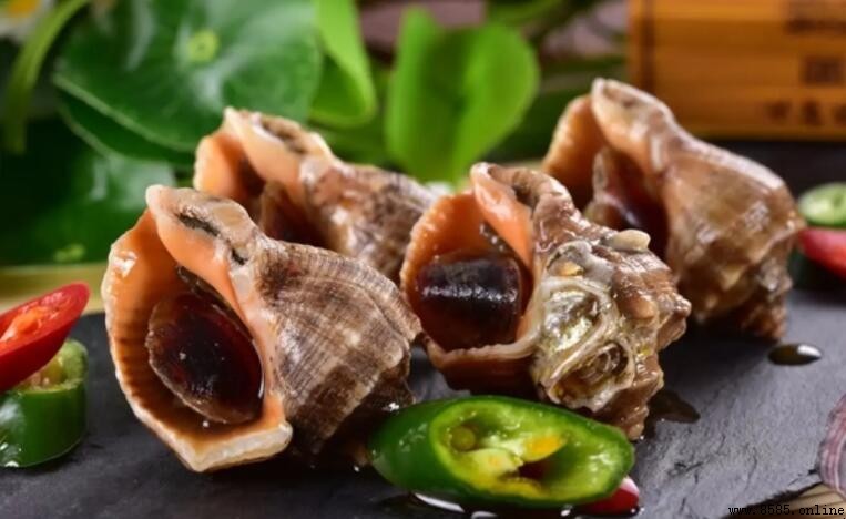 海螺能和西瓜一起吃嗎？