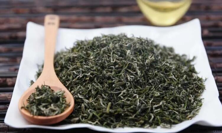 都匀毛尖是什么茶?详解贵州名茶的特点与品质
