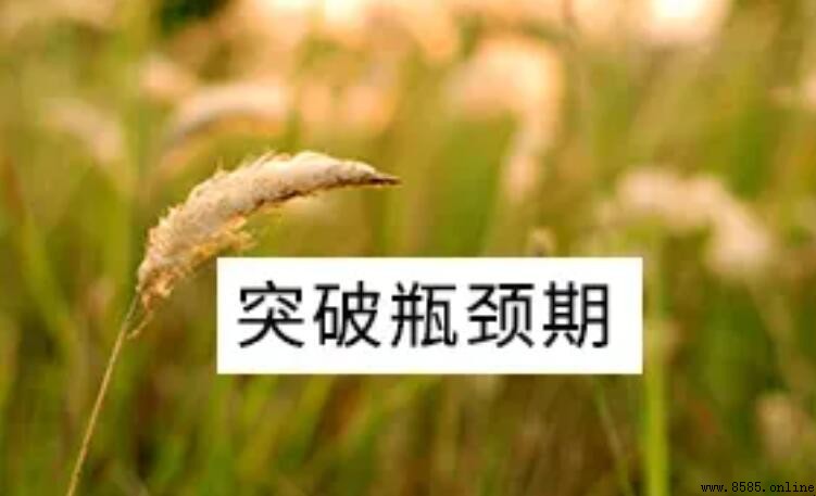 瓶頸期的含義與應對