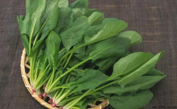 菠菜含鐵量解析：是否為補鐵佳選？
