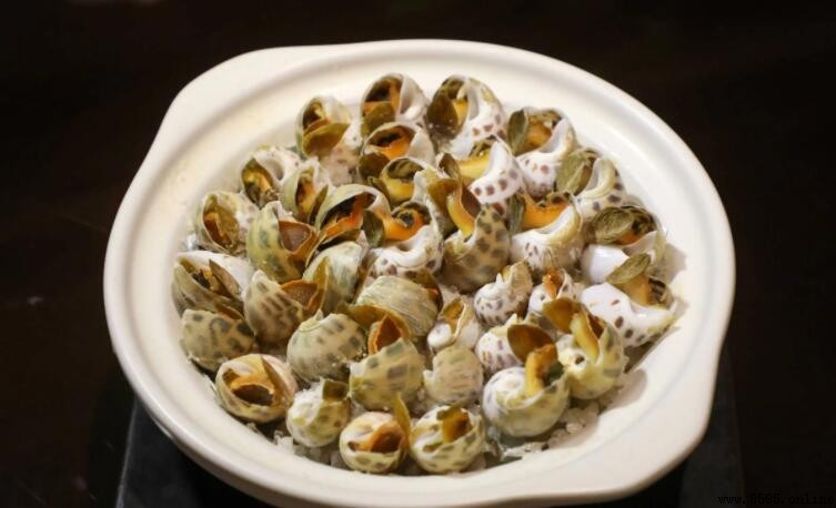 花螺蒸多久熟透？正確時間與烹飪技巧