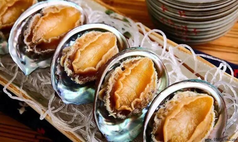 鮑魚冷凍保質期多長?正確保存與食用期限解析