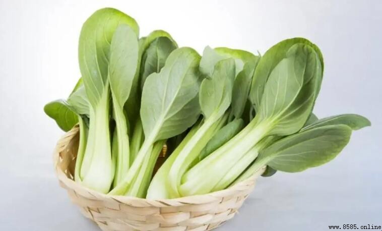 雞毛菜和小白菜差別在哪?解析兩者區別