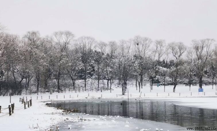 下雪天保暖问候语分享