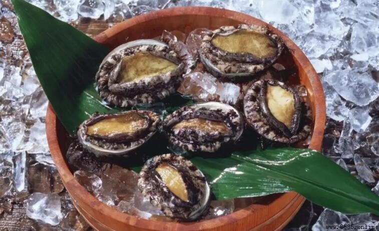 鮑魚冷水蒸更美味？開水蒸還是冷水蒸的選擇