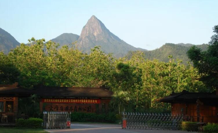 樂東縣旅遊景點推薦|尖峰嶺、毛公山與特色人文之旅
