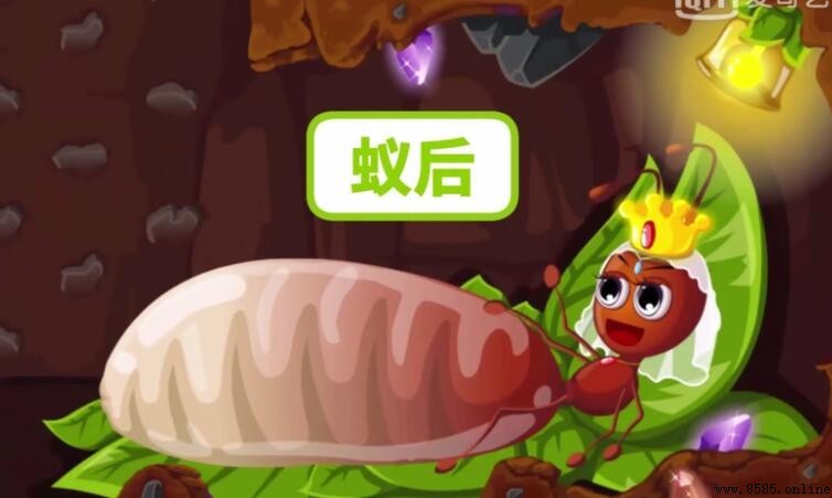 蟻後的職責是什麼