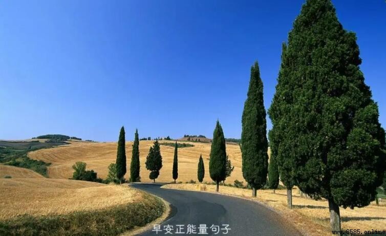 晨會正能量分享：鼓舞人心的12句開場白