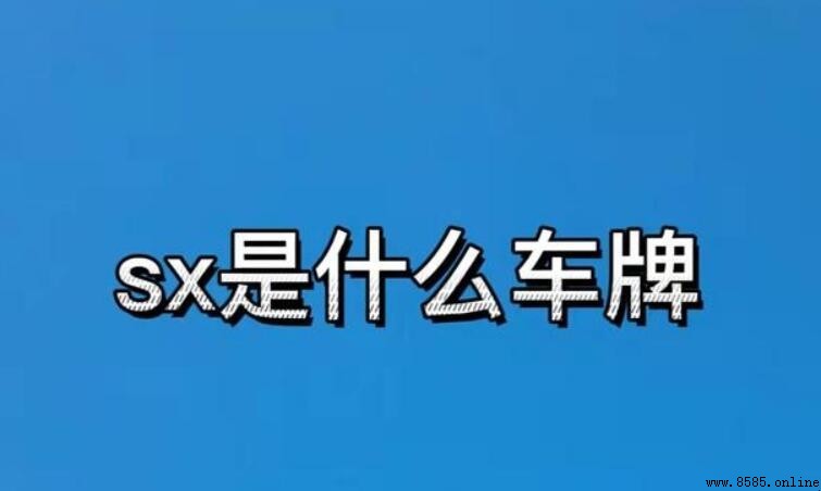 車牌sx代表什麼意義？