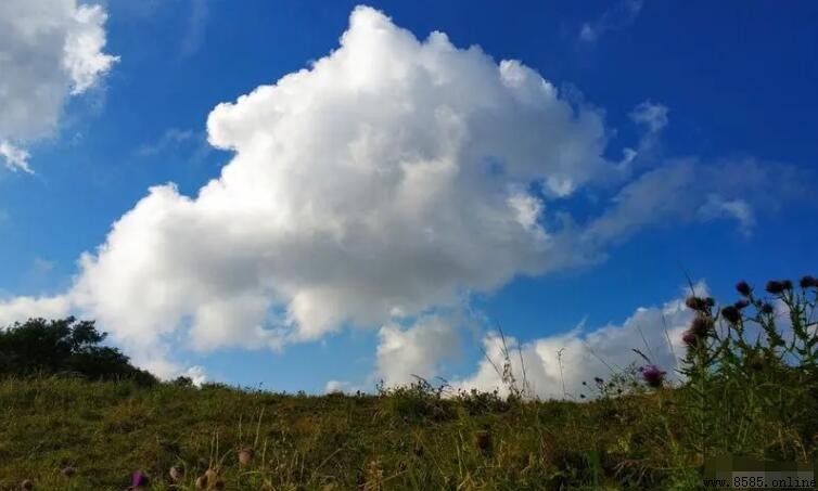 雲低代表什麼？解析低雲層的天氣意義