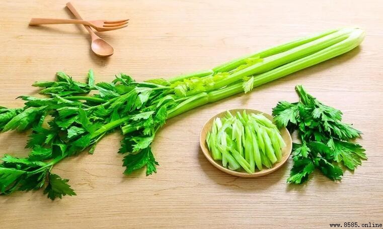 芹菜是十字花科蔬菜嗎？解析其正確科屬與營養價值