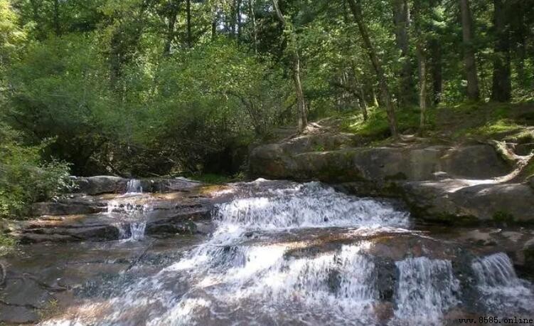 為什麼山上總是有水？探究山泉水的來源