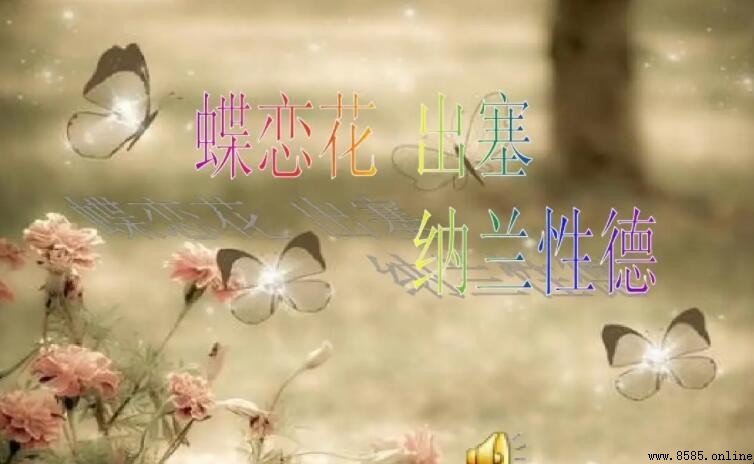 《蝶恋花·出塞》抒发了作者怎样的情感