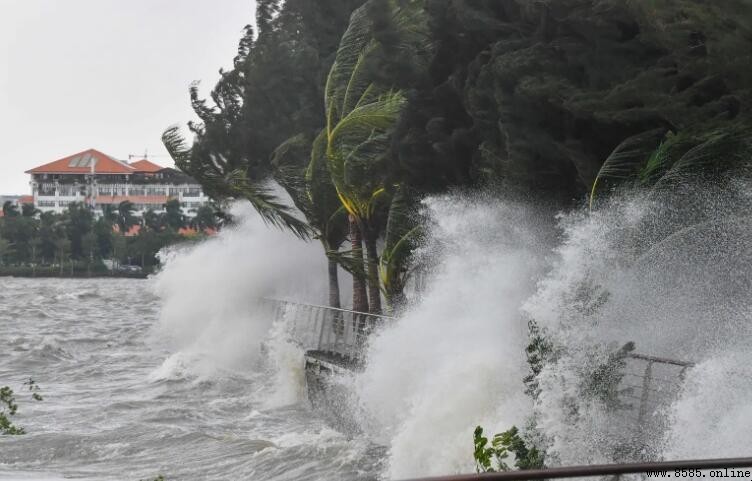 台風應急措施與防護指南