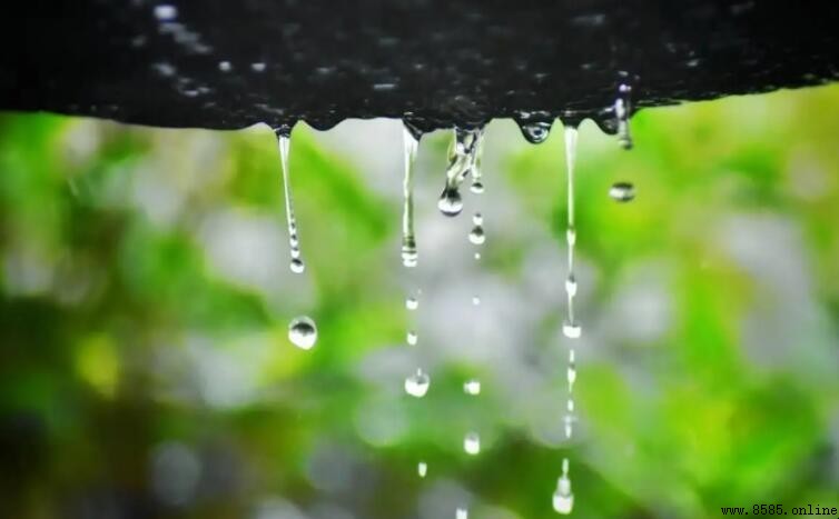 雨聲屬於白噪聲嗎