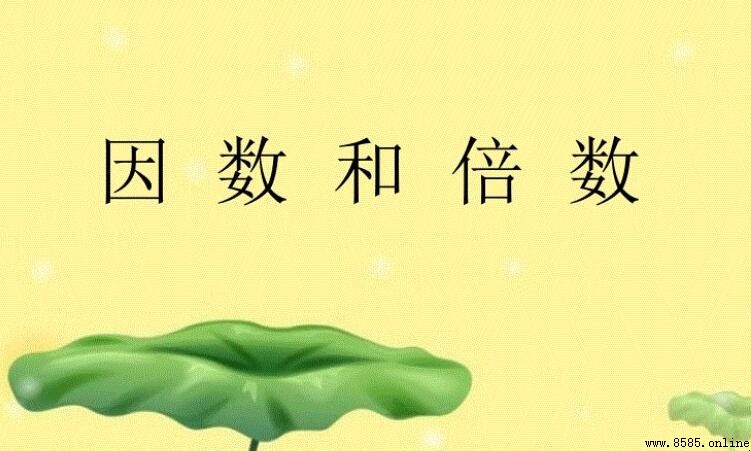 95的因數有哪些