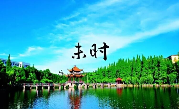 14點是什麼時辰？揭秘未時的時間與含義