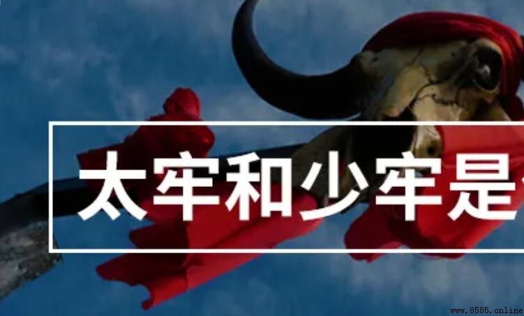 少牢與太牢的區別：含義與出處解析