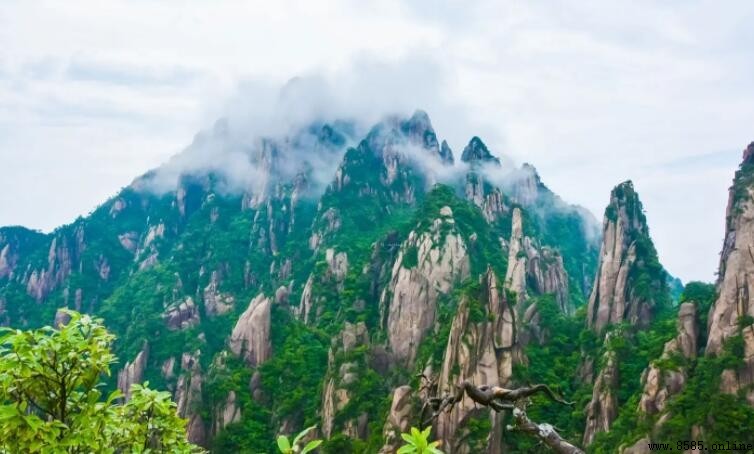 四山五岳指的是哪五座山?